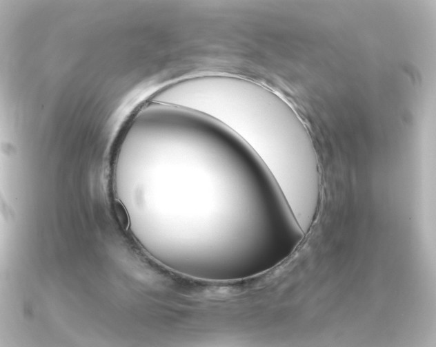 X0000091200152200708091046