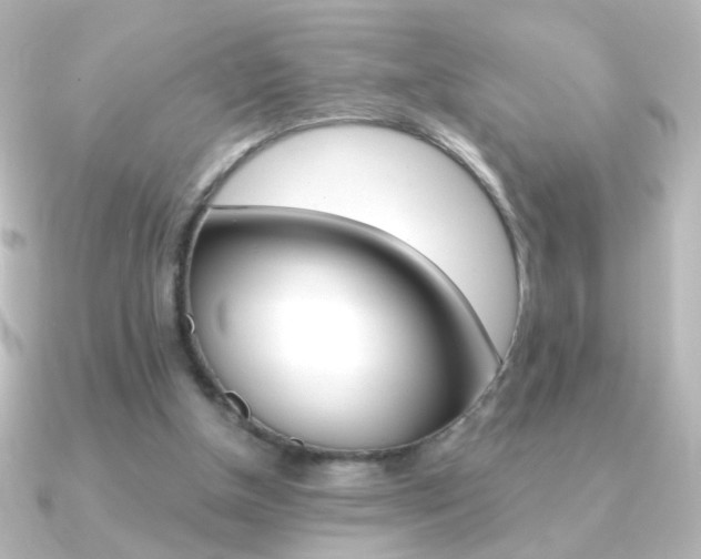 X0000091200154200708091046