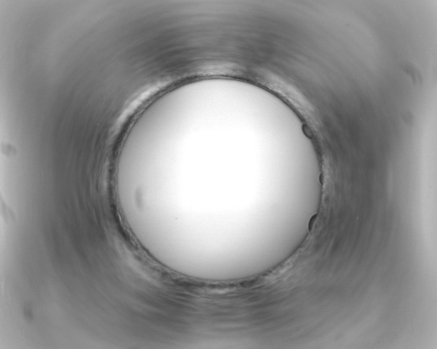 X0000091200155200708091046