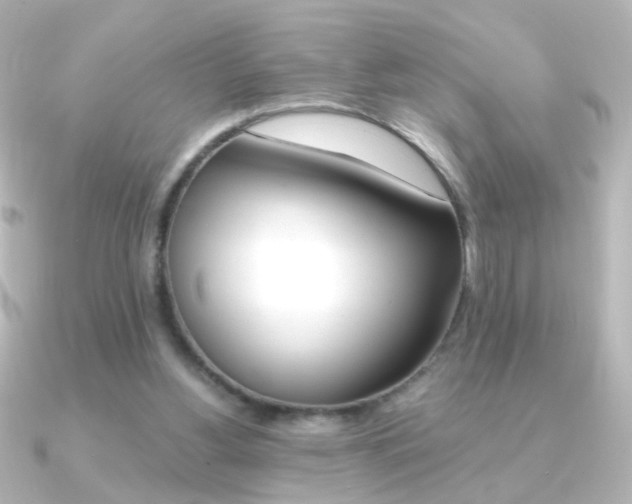 X0000091200156200708091046