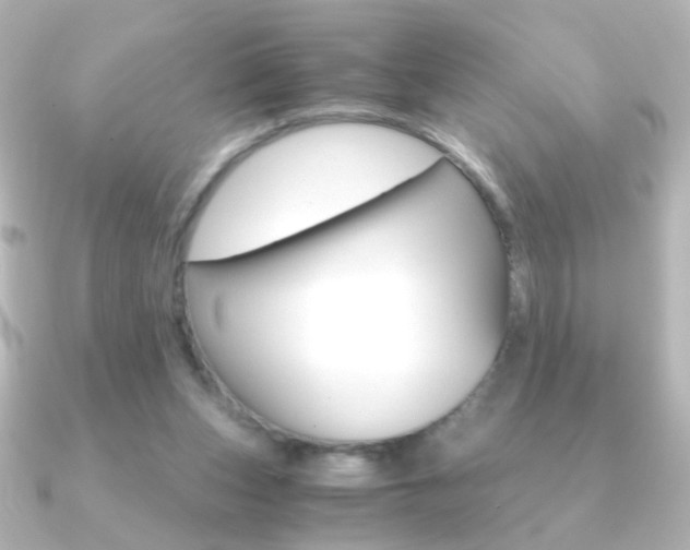 X0000091200159200708091046