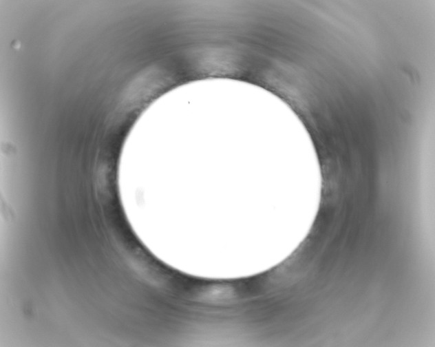 X0000091200162200708091046