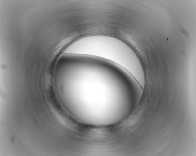 X0000091200164200708091046