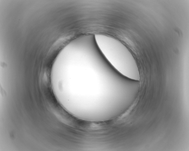 X0000091200166200708091046