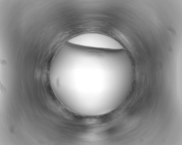 X0000091200169200708091046