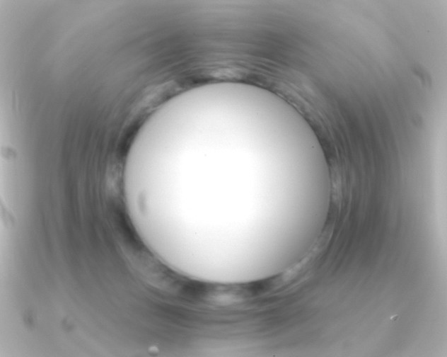 X0000091200175200708091046