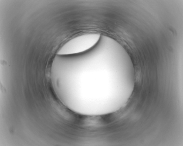 X0000091200179200708091046