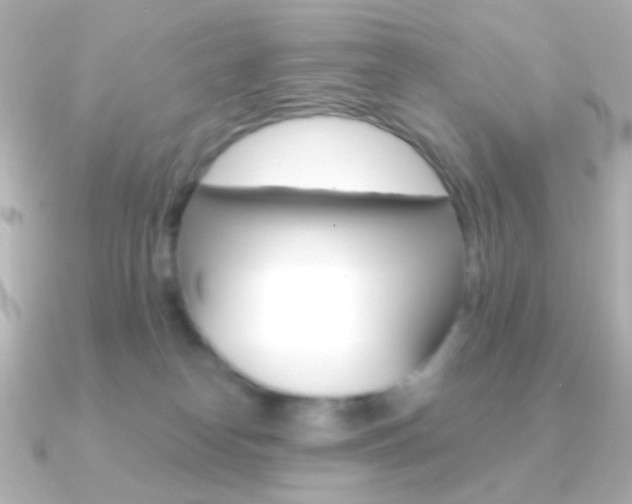 X0000091200182200708091046