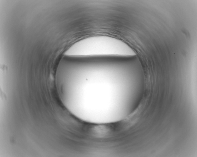 X0000091200183200708091046