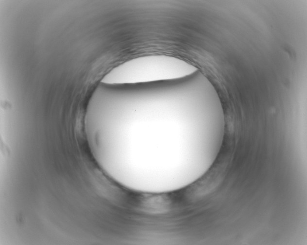 X0000091200185200708091046