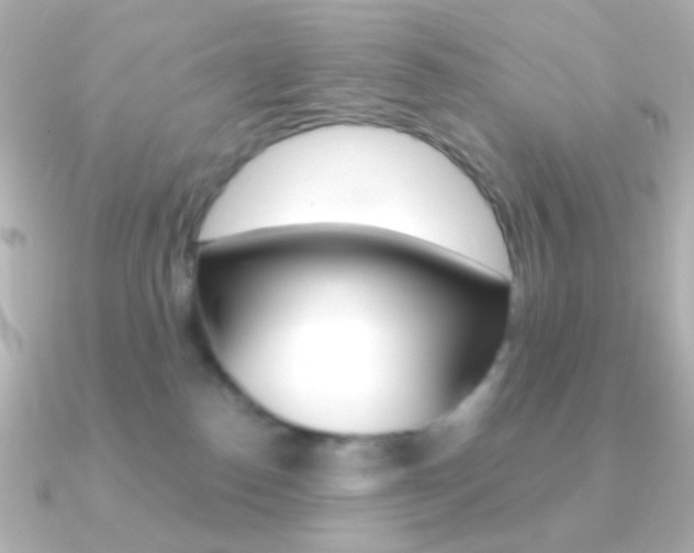 X0000091200186200708091046