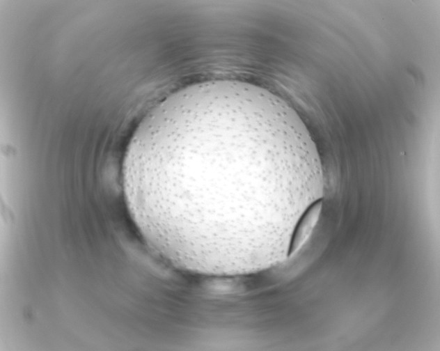 X0000091200187200708091046