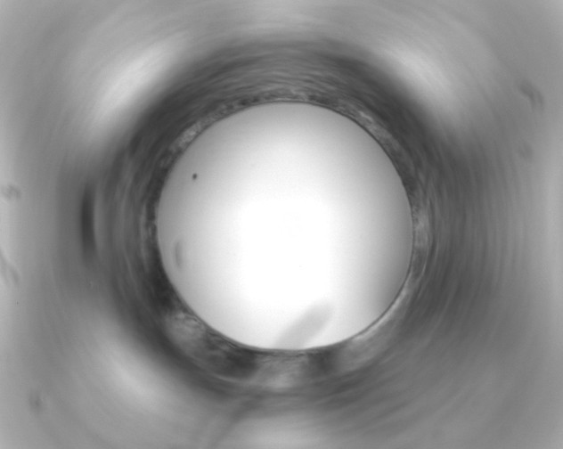 X0000091200191200708091046