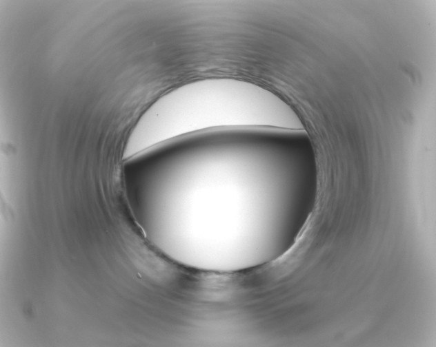 X0000091200192200708091046
