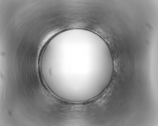 X0000091200196200708091046