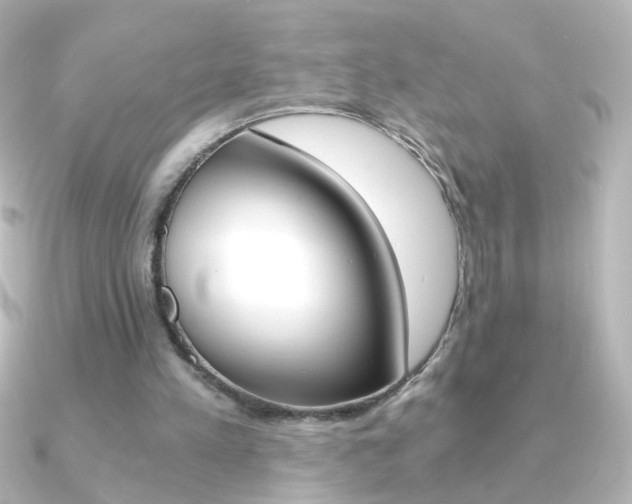 X0000091200197200708091046