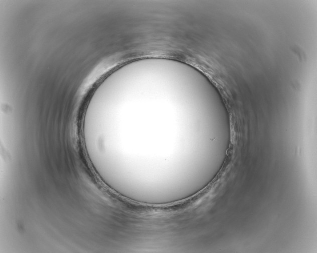 X0000091200198200708091046