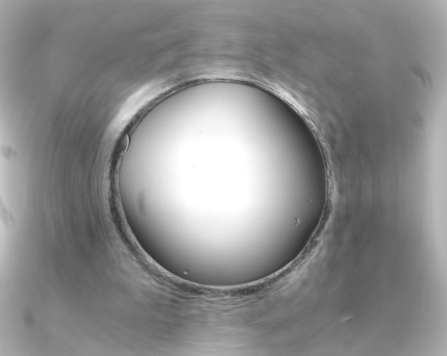 X0000091200199200708091046