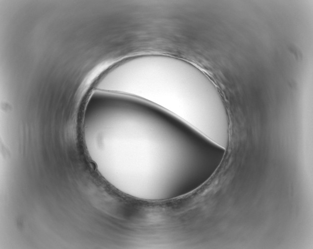 X0000091200200200708091046