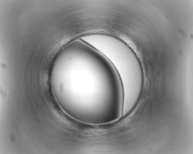 X0000091200201200708091046