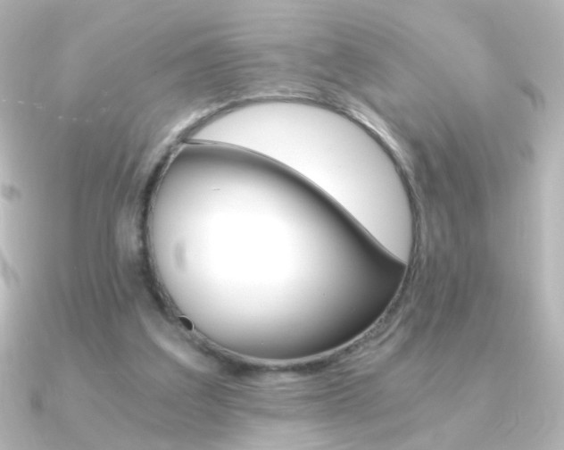 X0000091200203200708091046