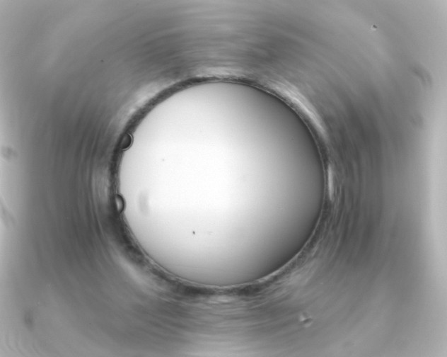 X0000091200204200708091046