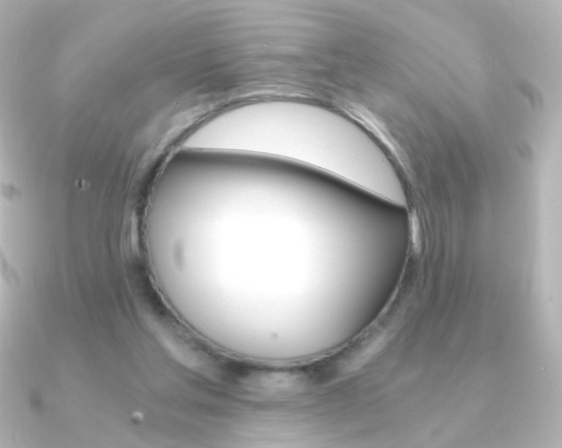 X0000091200205200708091046