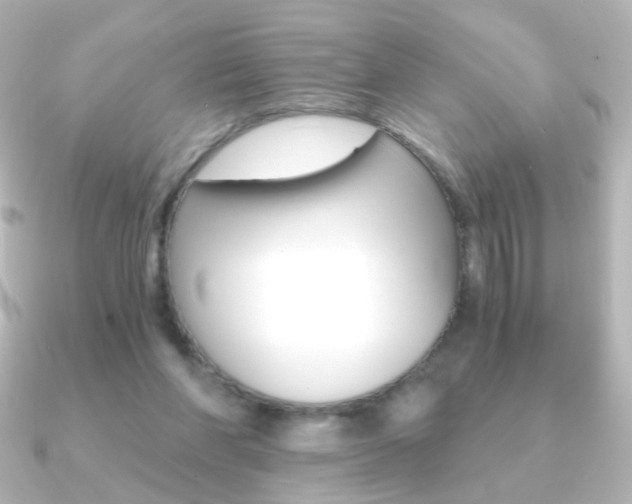 X0000091200206200708091046