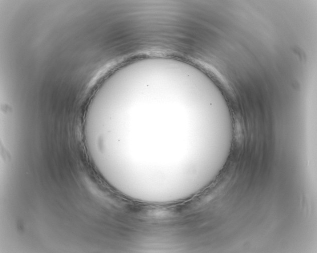 X0000091200208200708091046