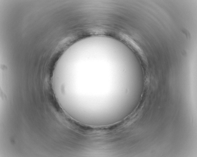 X0000091200209200708091046