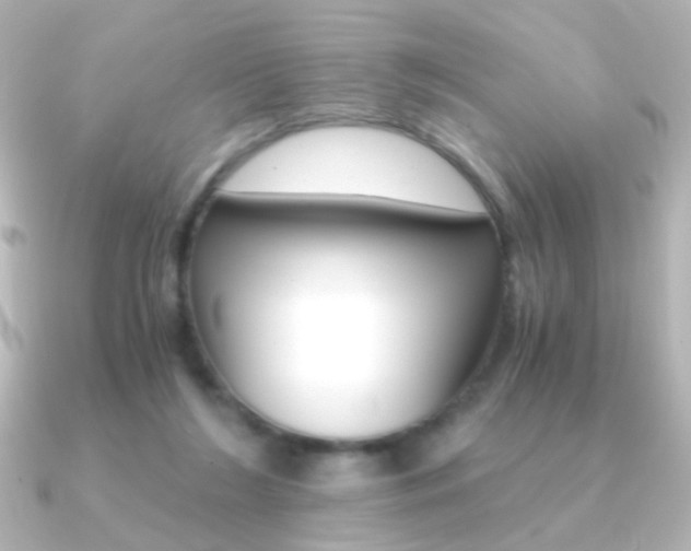 X0000091200212200708091046