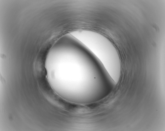 X0000091200215200708091046
