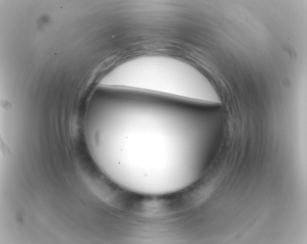 X0000091200216200708091046