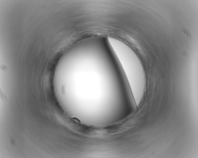 X0000091200217200708091046