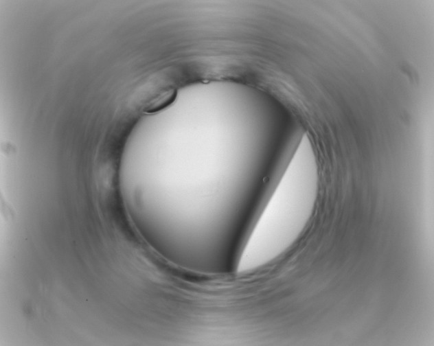 X0000091200219200708091045
