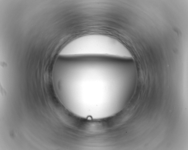 X0000091200220200708091045