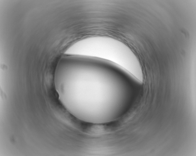 X0000091200227200708091045