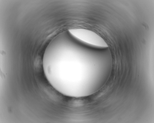 X0000091200228200708091045