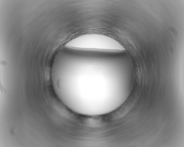 X0000091200232200708091045