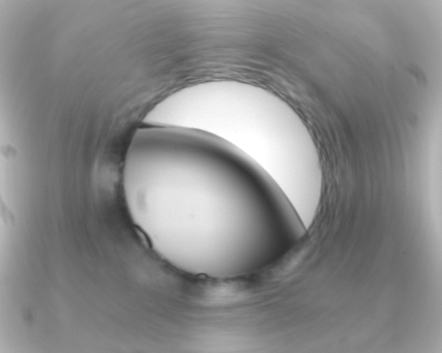 X0000091200235200708091045