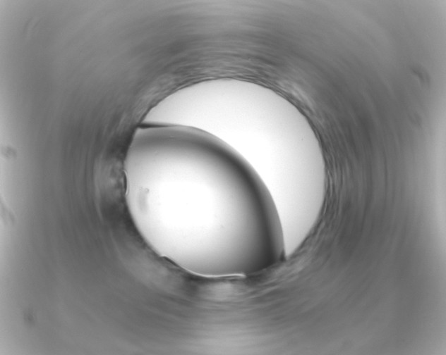 X0000091200237200708091045