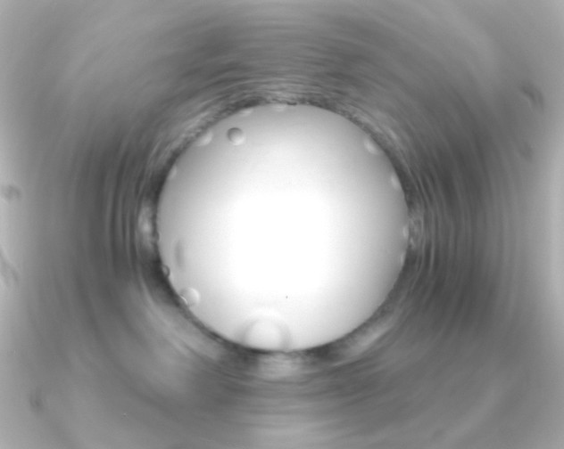 X0000091200238200708091045