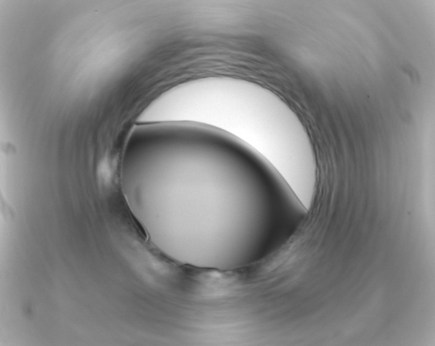 X0000091200239200708091045