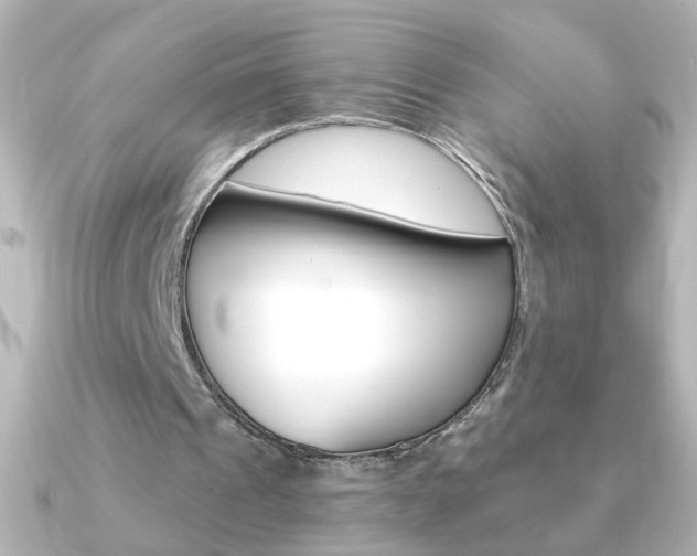 X0000091200241200708091045