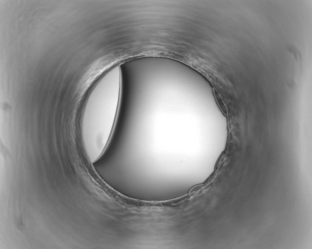 X0000091200242200708091045