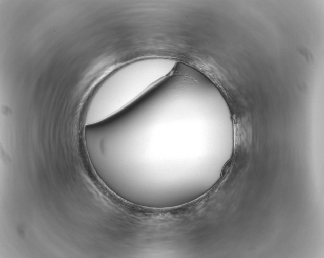 X0000091200243200708091045
