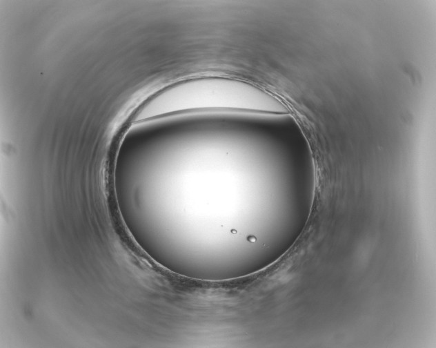 X0000091200244200708091045
