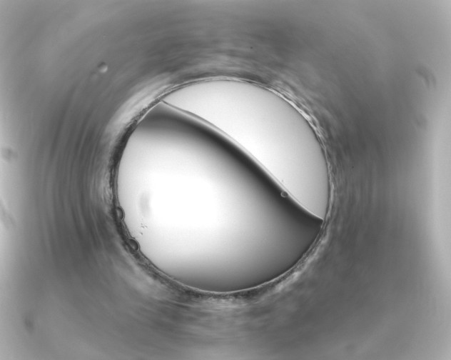 X0000091200245200708091045