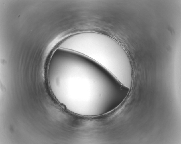 X0000091200246200708091045