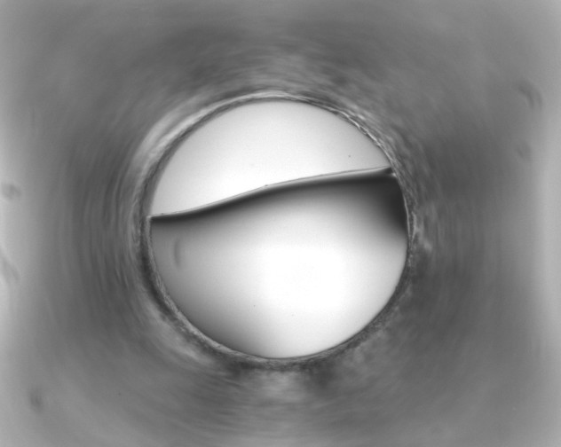 X0000091200247200708091045
